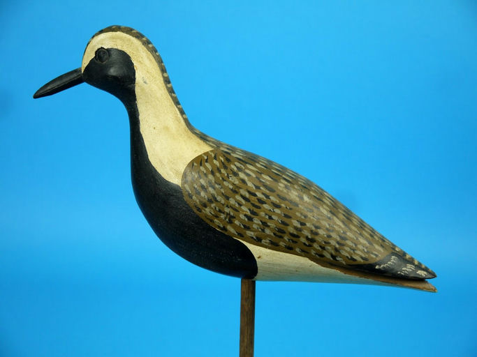 Harry V. Shourds – Golden Plover – 2026