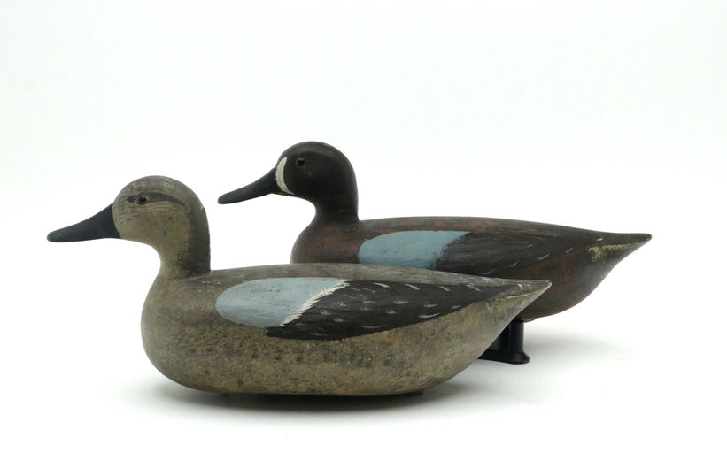 Charles Schoenheider, Sr. – Blue-winged teal – 2025
