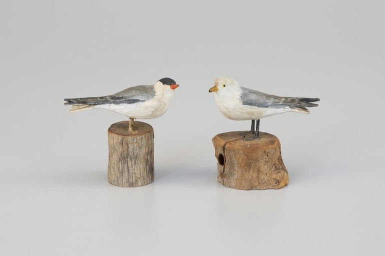 Peter Peltz – Miniature Tern and Herring Gull – 2026