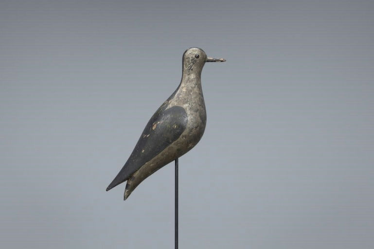 Joseph Lincoln – Early Golden Plover – 2019