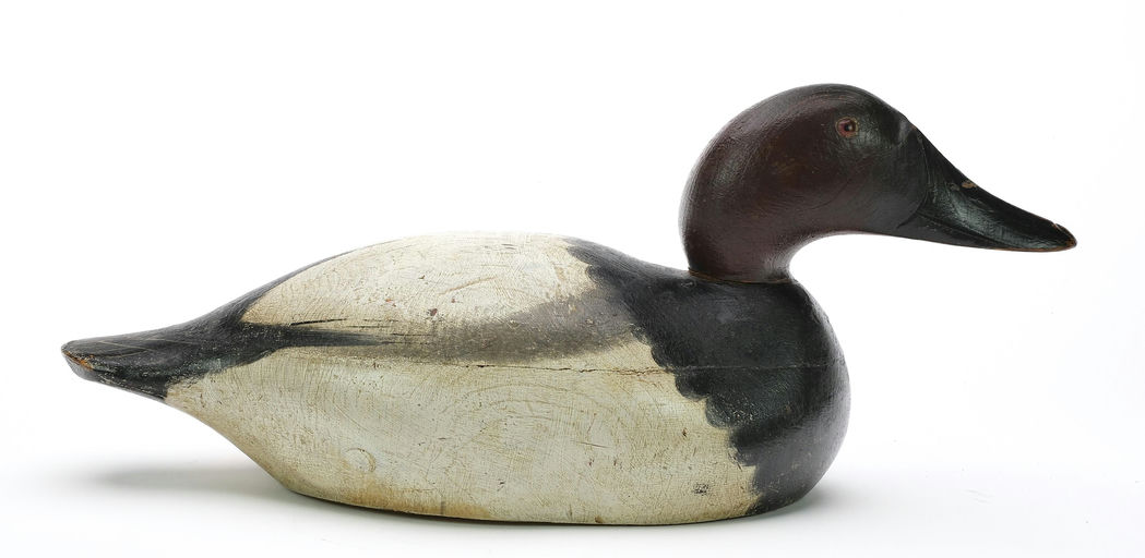 Mason Decoy Factory – Canvasback – 2024