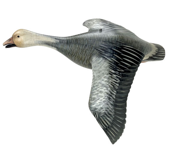 Mike Borrett – Flying Blue Goose – 2024