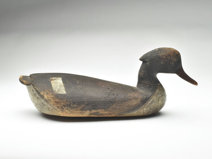 Cameron McIntyre – Merganser Hen – 2023
