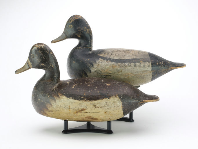 Ira Hudson – Pair of Bluebills – 2024