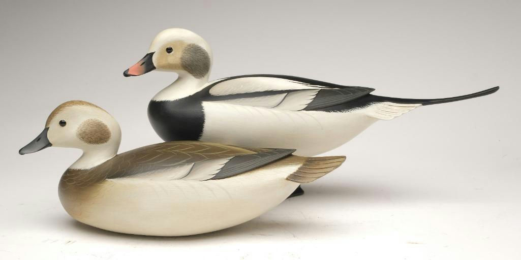George Strunk – Pair of Duck – 2023