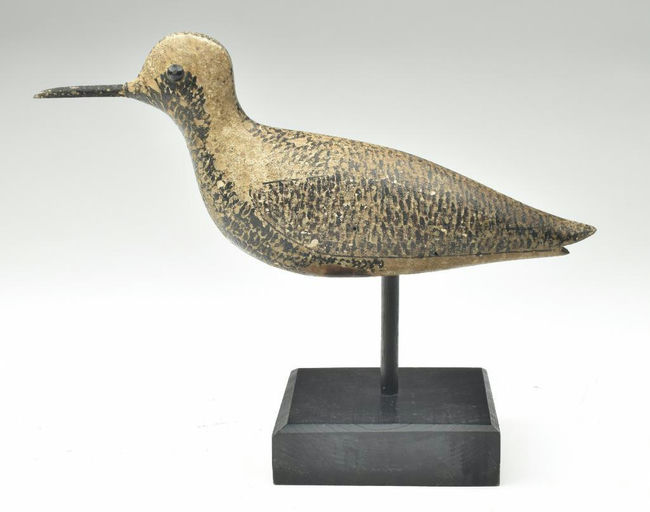 George Boyd – Black Bellied Plover – 2023
