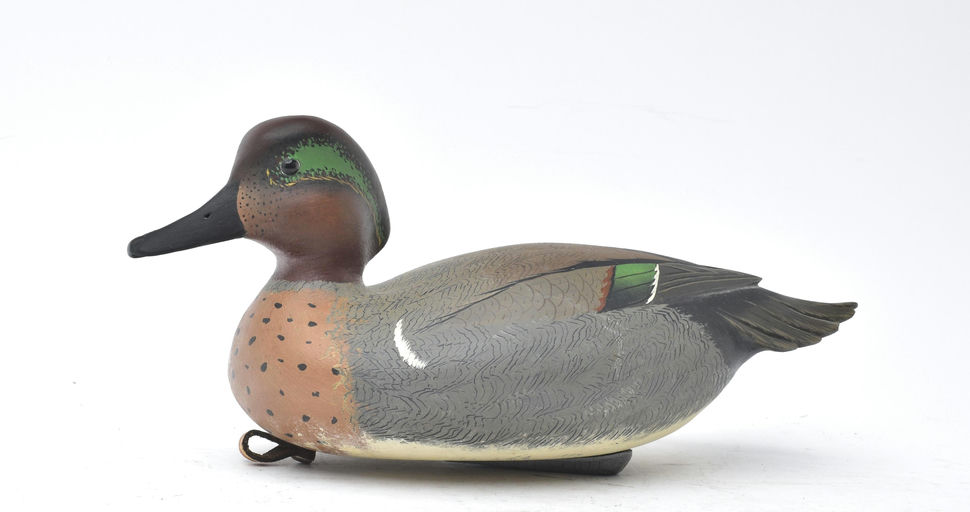 Bob White – Green-winged Teal – 2025