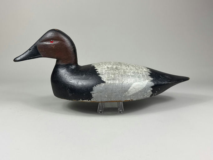Sam Denny – Canvasback – 2026