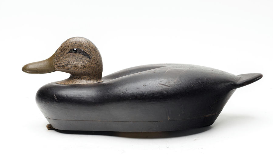 Roswell E. Bliss – Black Duck – 2026