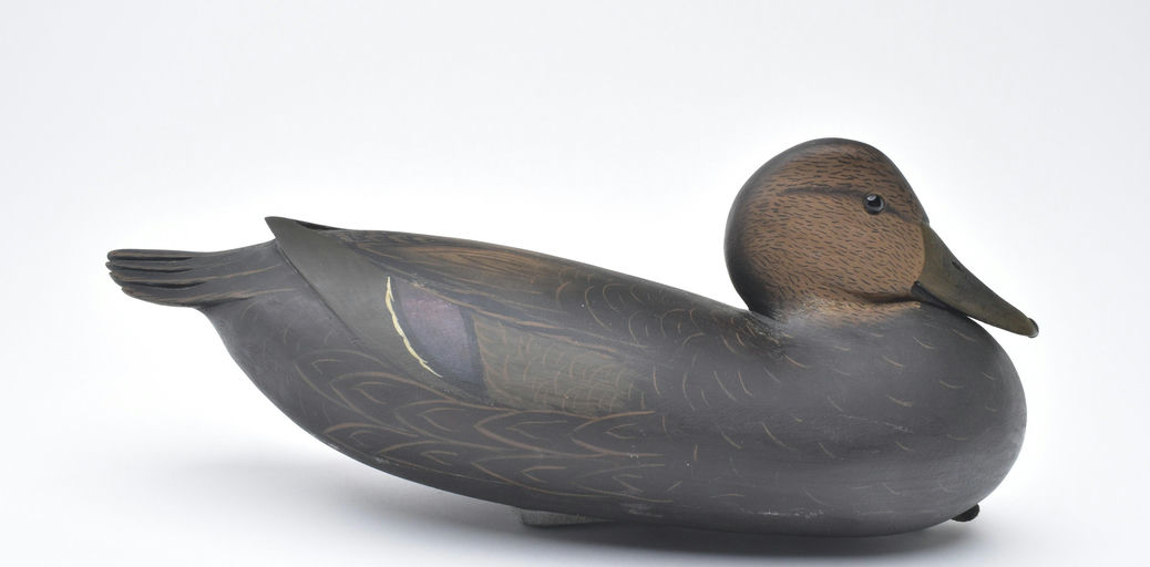 Bob White – Black Duck – 2025
