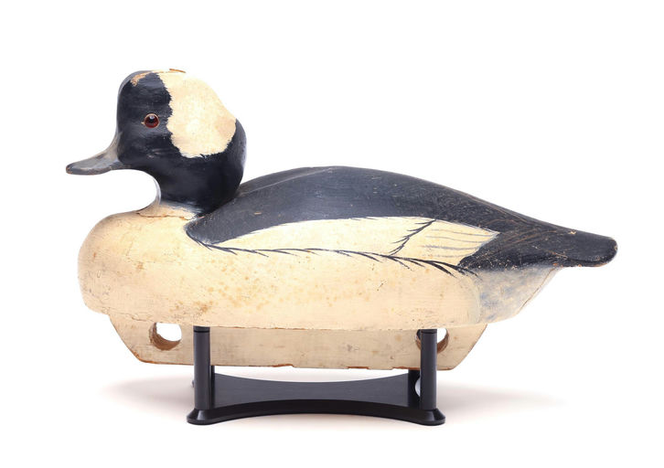 Dan Brown – Bufflehead – 2026