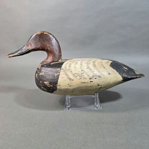 Doug Jester – Canvasback – 2026