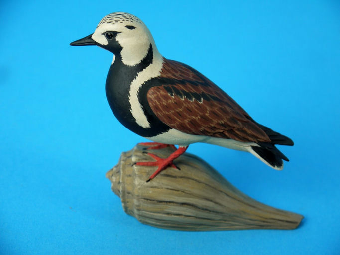 Eddie Wozny – Miniature Ruddy Turnstone – 2026
