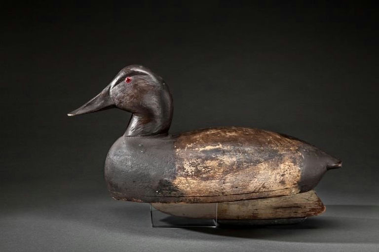 Louis Steiner – Canvasback Hen – 2014
