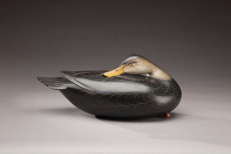 George Strunk – Black Duck – 2011