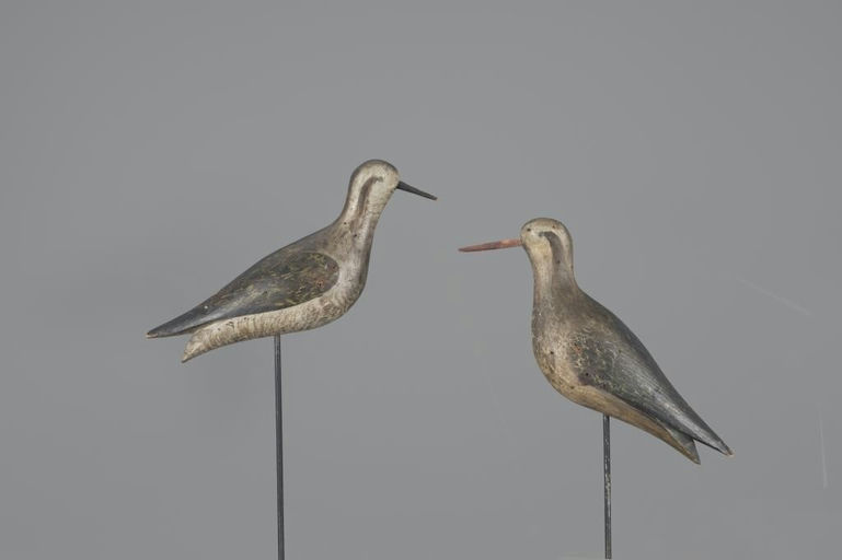 Joseph Lincoln – Golden Plover Pair – 2024