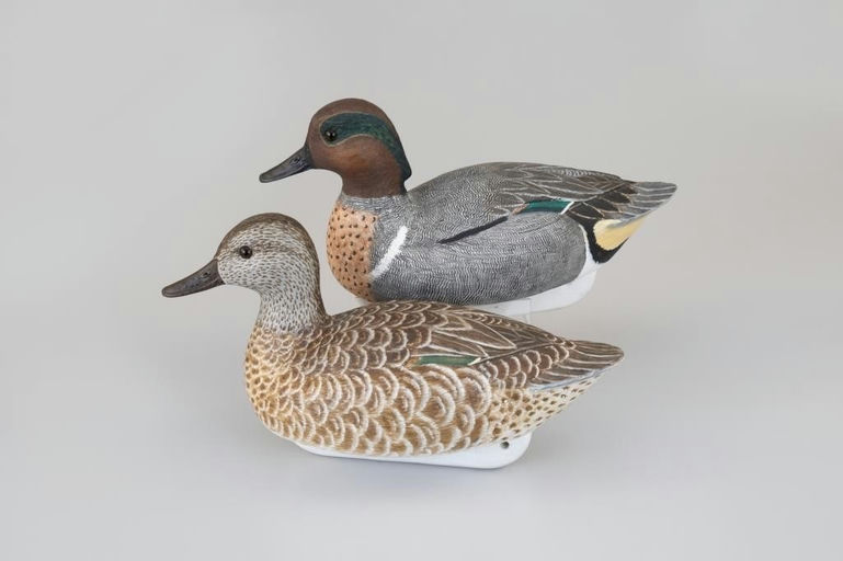 Cigar Daisey – Green-Winged Teal Pair – 2026
