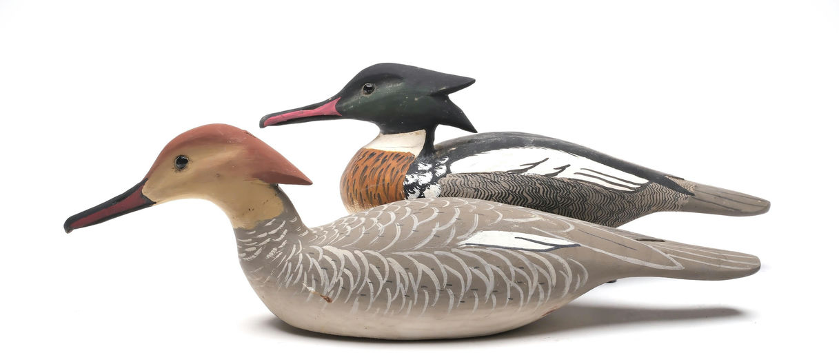 Grayson Chesser – Pair of Merganser – 2026