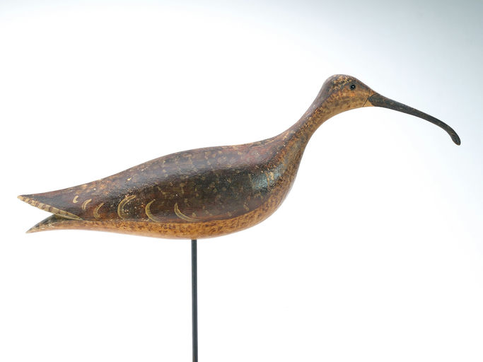 Frank Finney – Large Curlew With Split Tail Carving and Applied Head – 2025