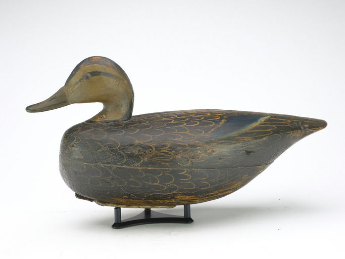 Ira Hudson – Black Duck – 2024