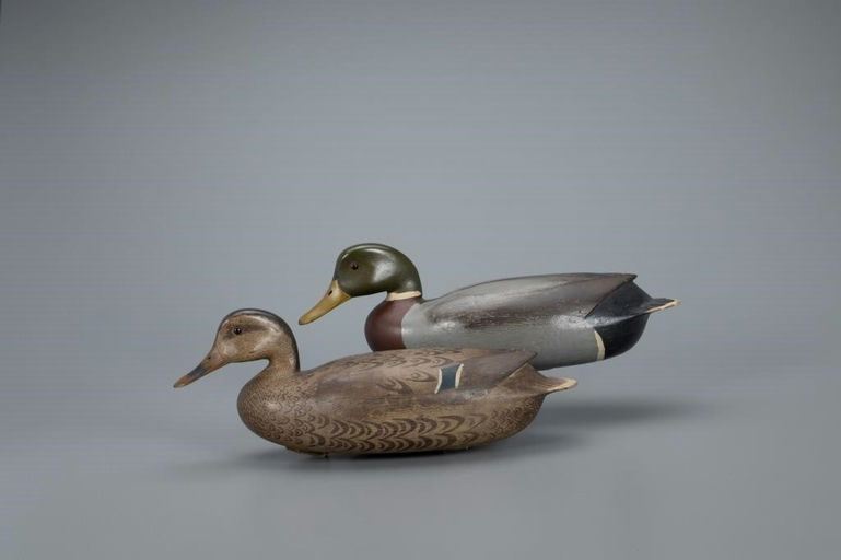 Joe Morgan – Mallard Pair – 2020