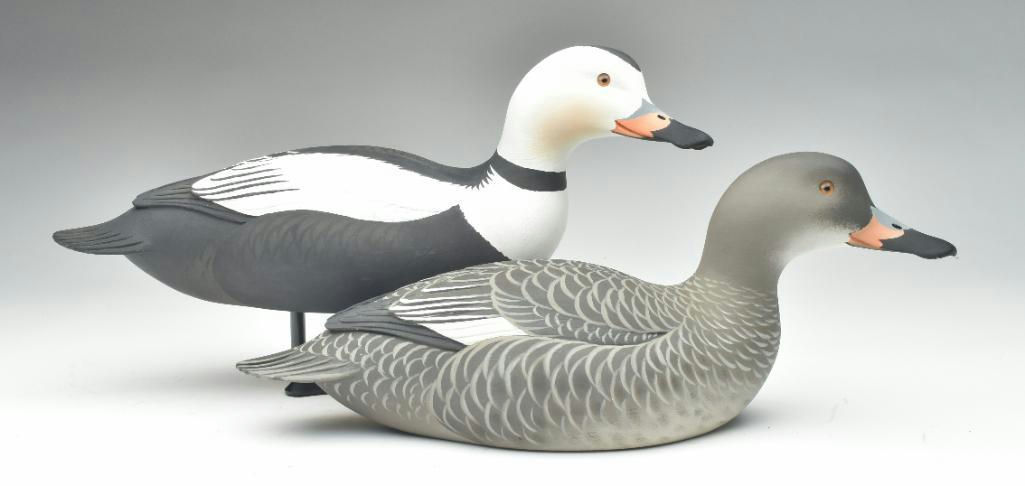 Oliver Lawson – Pair of Labrador Ducks – 2023