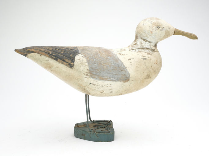 Gus Wilson – Gull – 2023