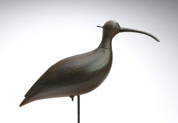 Bill Gibian – Curlew – 2025