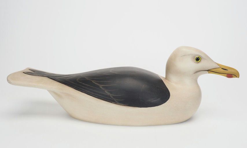 Bill Joeckel — Black Backed Gull