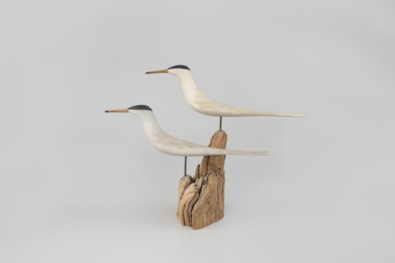 Mark McNair – Tern Pair – 2026