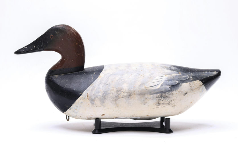 Sam Barnes – Canvasback – 2026