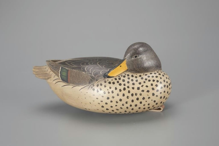 Bob White – Rare Sleeping Speckled Teal – 2024