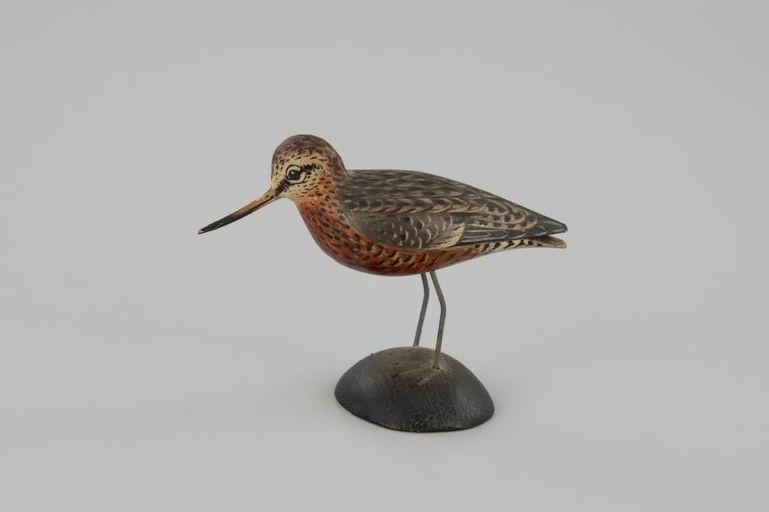 Elmer Crowell – Miniature Godwit – 2026