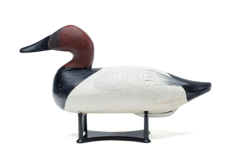 Bob McGaw – Canvasback – 2026
