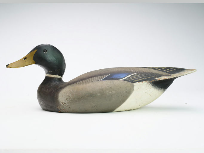 Ward Brothers – Mallard – 2024