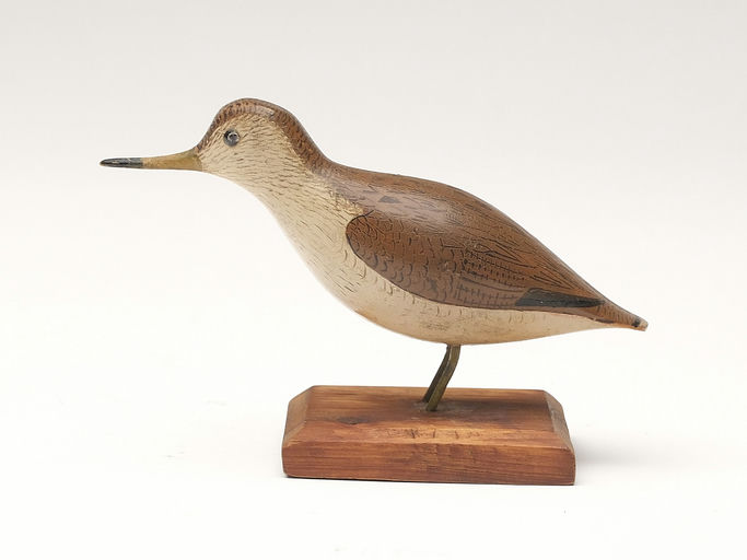 George Boyd – Upland Plover – 2023