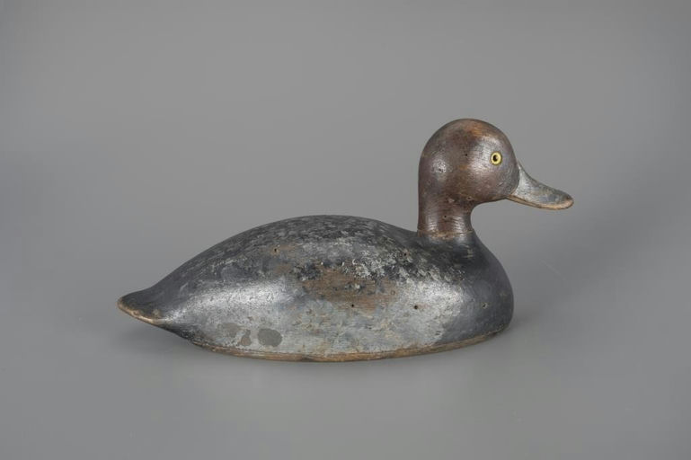 Frederick George Mummery – Redhead Drake – 2025