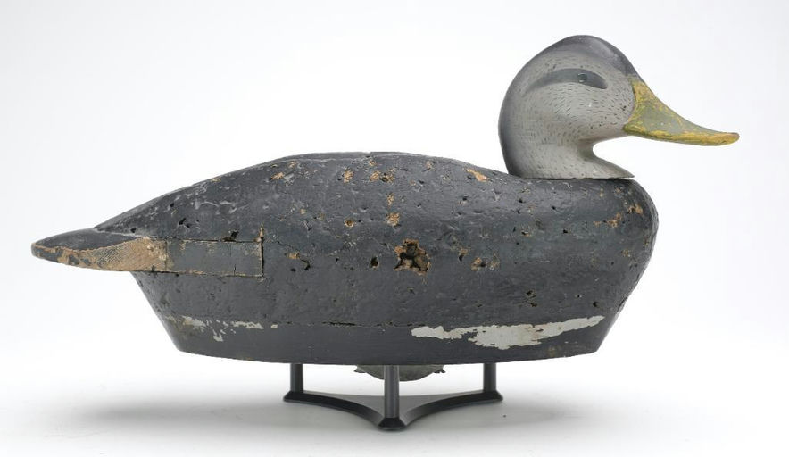 Charlie Joiner – Cork Black Duck – 2023