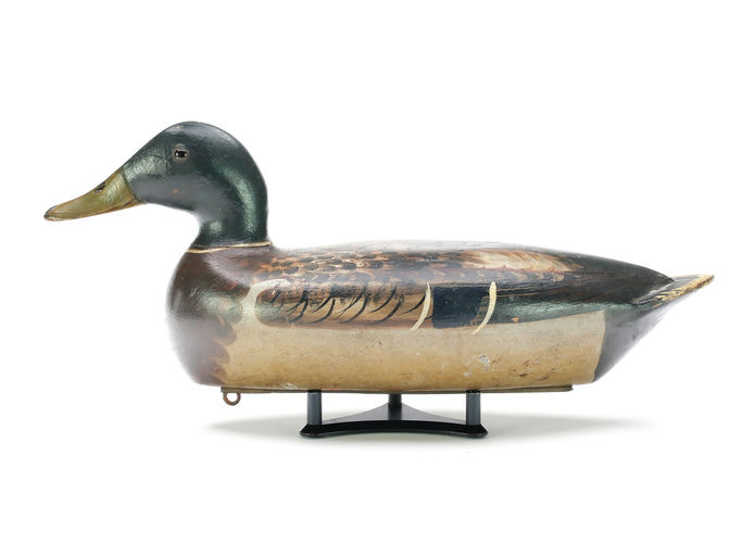 Bert Graves – Mallard – 2025