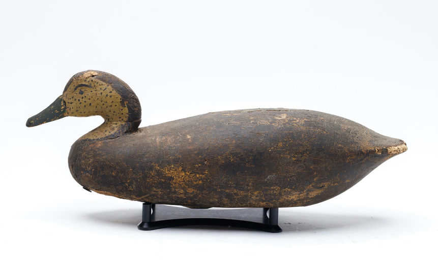 Ben Rue – Black Duck – 2026