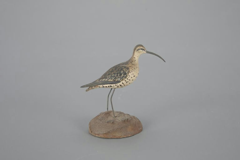 Russ Burr – Miniature Curlew – 2023