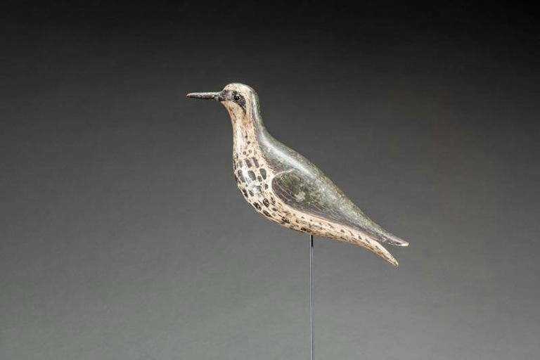 William Folger – Golden Plover – 2015