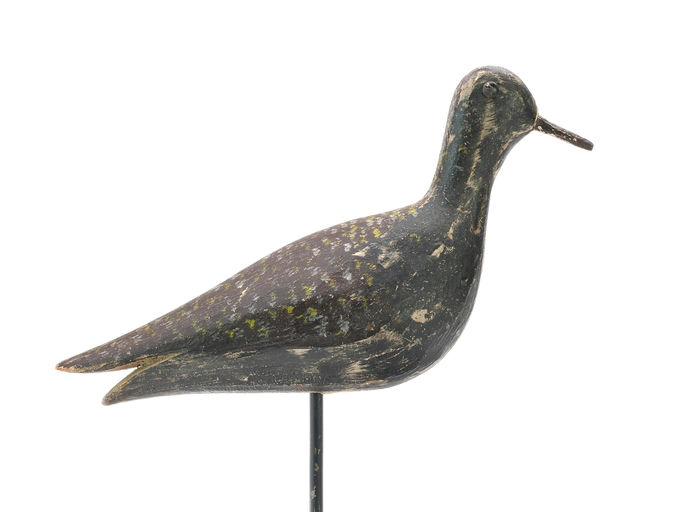 Joseph Lincoln – Golden Plover – 2025