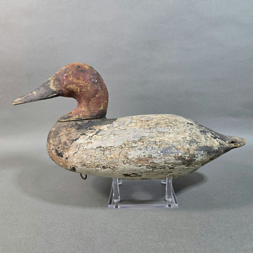 John Graham – Canvasback – 2026