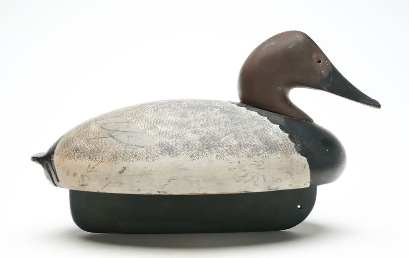 Ferdinand Bach – Canvasback – 2026