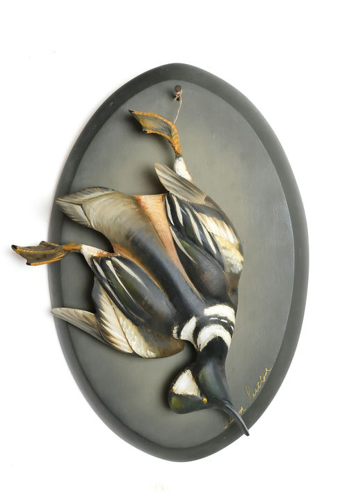 Sean Sutton – Miniature Dead Hanging Hooded Merganser On Wall Plaque – 2024