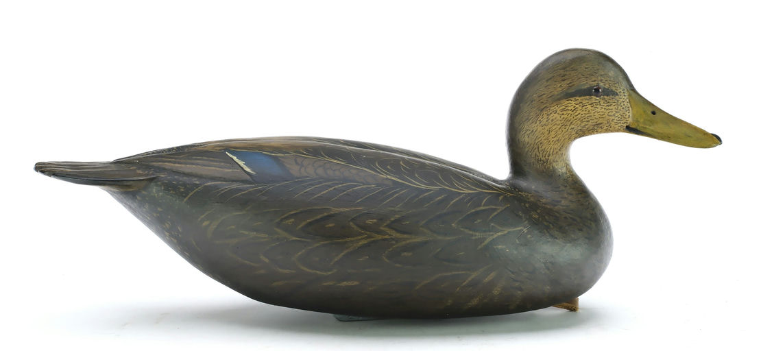 Bob White – Black Duck – 2025