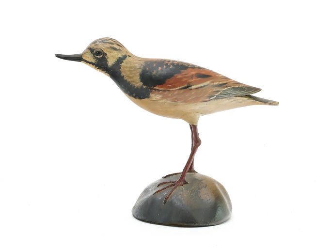 Elmer Crowell – Ruddy Turnstone – 2025