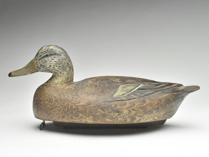 Ben Schmidt – Black Duck – 2023