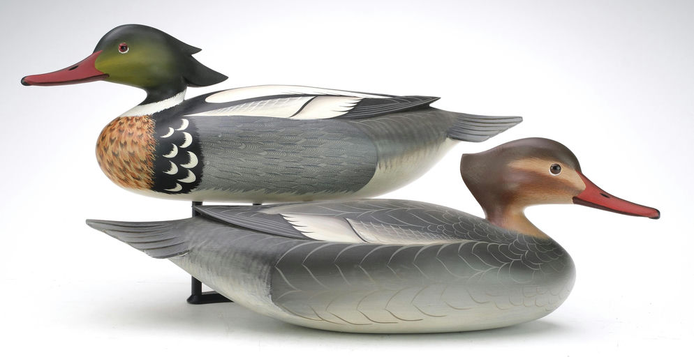 George Strunk – Pair of Merganser – 2024
